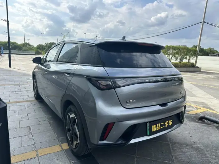 BYD Dolphin 2021 Model Fashion Edition – фото 5
