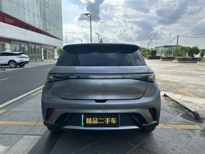 BYD Dolphin 2021 Model Fashion Edition – фото 6