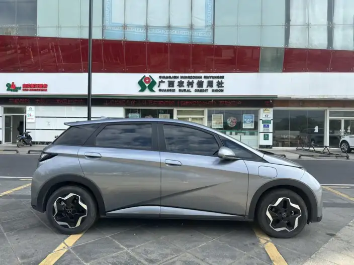 BYD Dolphin 2021 Model Fashion Edition – фото 8