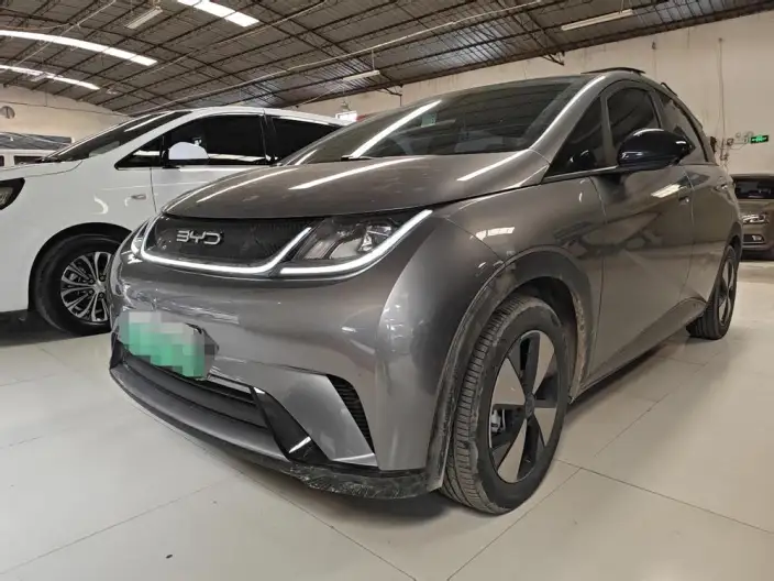 BYD Dolphin 2023 Model Fashion Edition