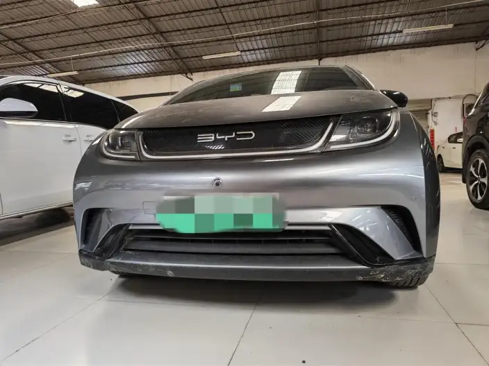 BYD Dolphin 2023 Model Fashion Edition