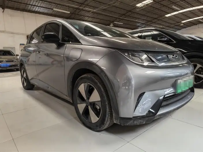 BYD Dolphin 2023 Model Fashion Edition