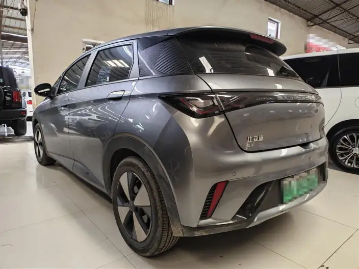 BYD Dolphin 2023 Model Fashion Edition