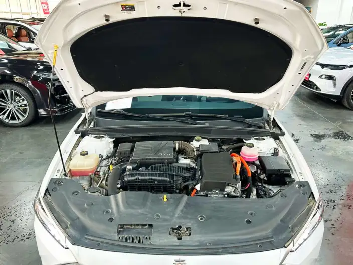 BYD Qin PLUS DM 2023 Model DM-i Champion Edition 55KM Leading Model – фото 10