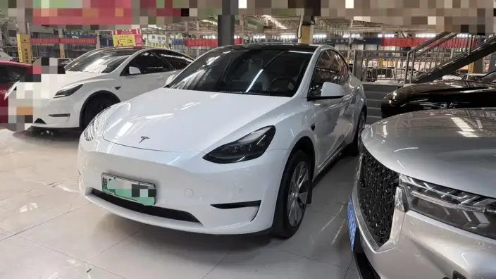 Model Y 2022 Model Rear-wheel drive version – фото 1