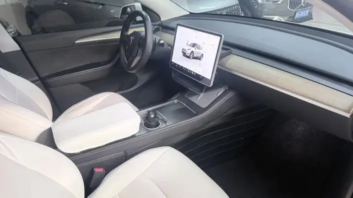 Model Y 2022 Model Rear-wheel drive version – фото 9