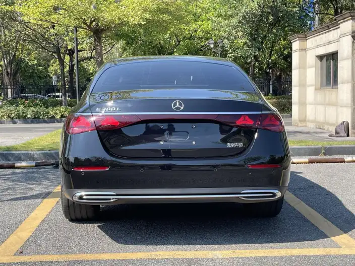 Mercedes-Benz E-Class 2025 Model Facelift E 300 L Luxury Model sedan – фото 6