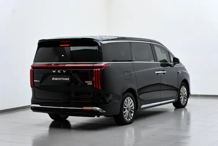 Wey Gaoshan P HEV 2025 Model 4WD Wey Gaoshan 8 – фото 7