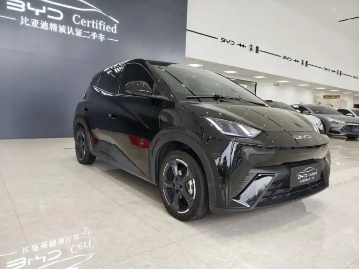 BYD Seagull 2023 Model Free Edition – фото 3