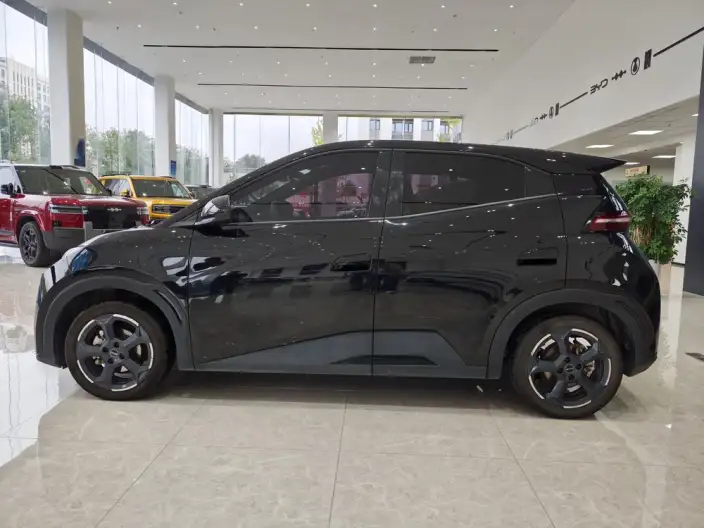 BYD Seagull 2023 Model Free Edition – фото 4