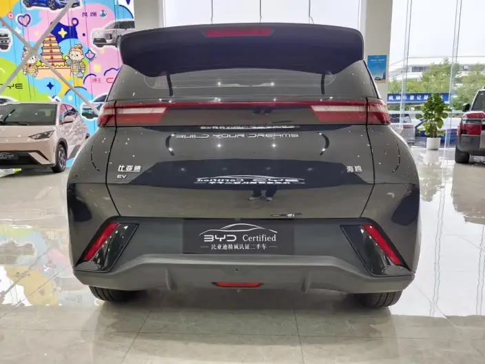 BYD Seagull 2023 Model Free Edition – фото 6