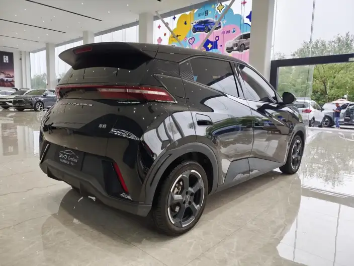 BYD Seagull 2023 Model Free Edition – фото 7