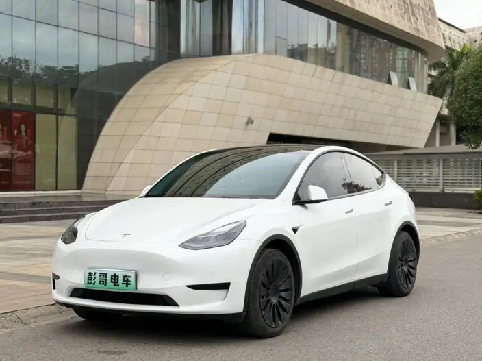 Model Y 2023 Model Rear-wheel drive version – фото 1