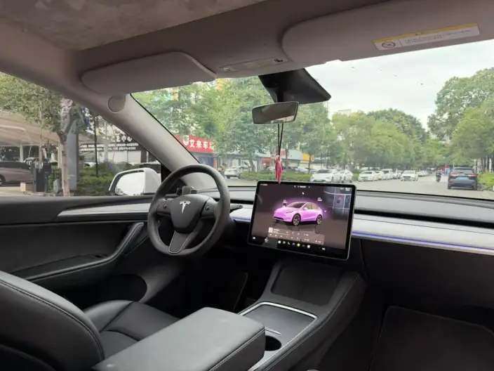Model Y 2023 Model Rear-wheel drive version – фото 10