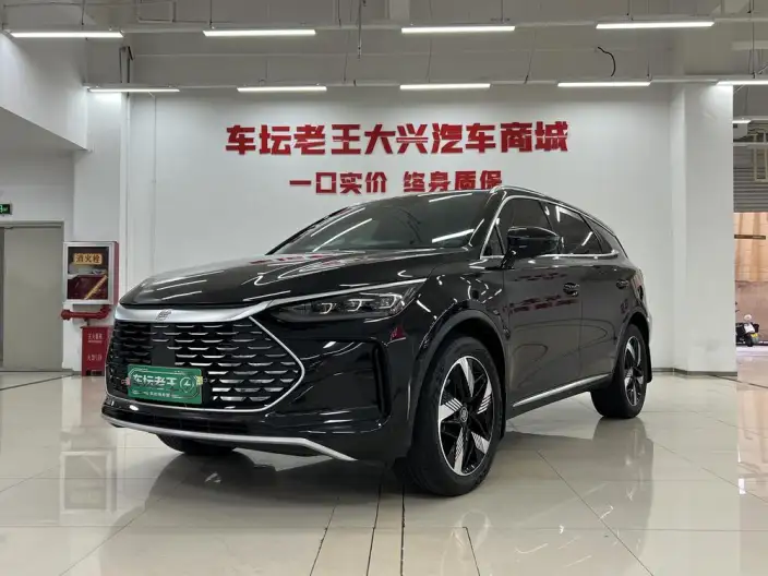 BYD Tang DM 2024 Model Honor Edition DM-i 112KM Zunrong Model – фото 1