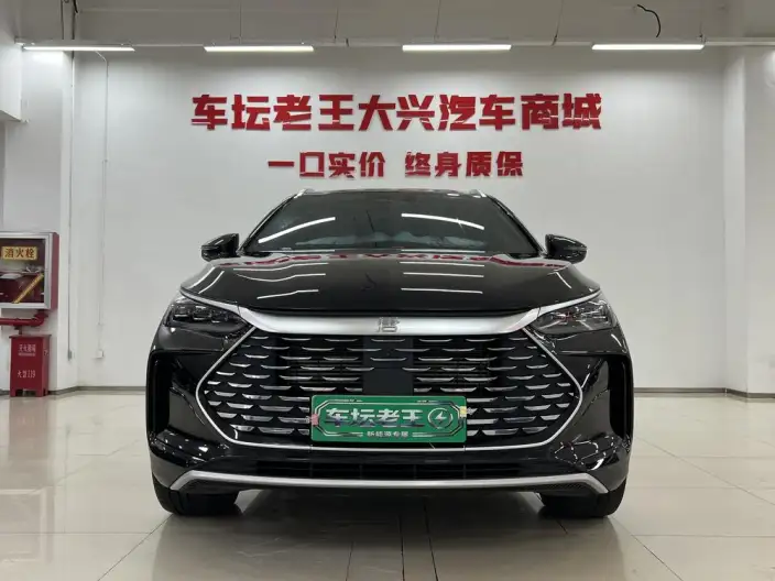 BYD Tang DM 2024 Model Honor Edition DM-i 112KM Zunrong Model – фото 2