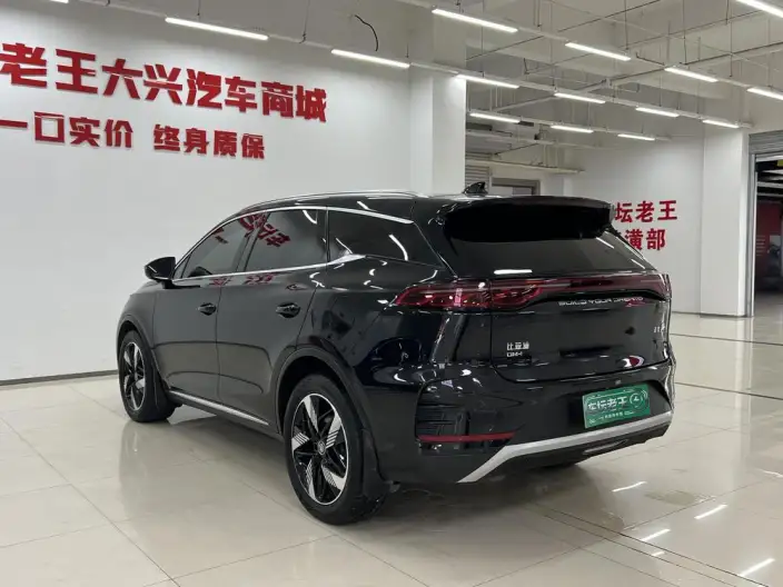BYD Tang DM 2024 Model Honor Edition DM-i 112KM Zunrong Model – фото 4