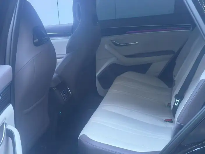 BYD Song PLUS DM 2025 Model Smart Driving Edition DM-i 112KM Noble Model – фото 9