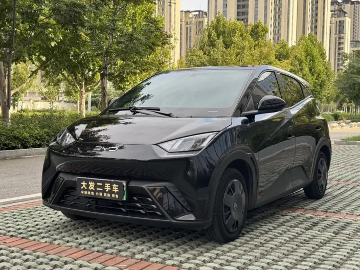 BYD Seagull 2024 Model Honor Edition 305KM Vitality Edition – фото 1
