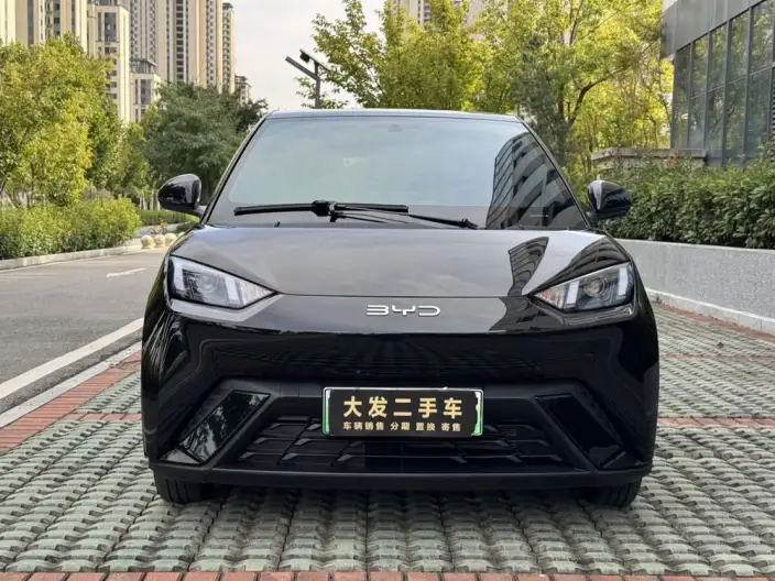 BYD Seagull 2024 Model Honor Edition 305KM Vitality Edition – фото 2