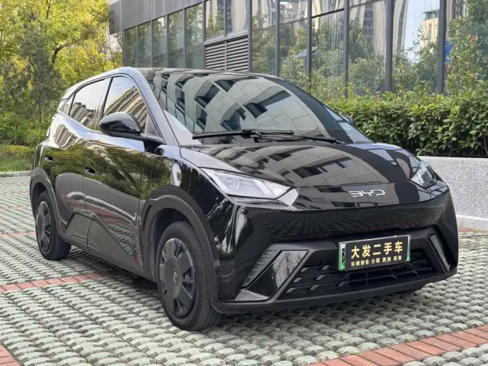 BYD Seagull 2024 Model Honor Edition 305KM Vitality Edition – фото 3