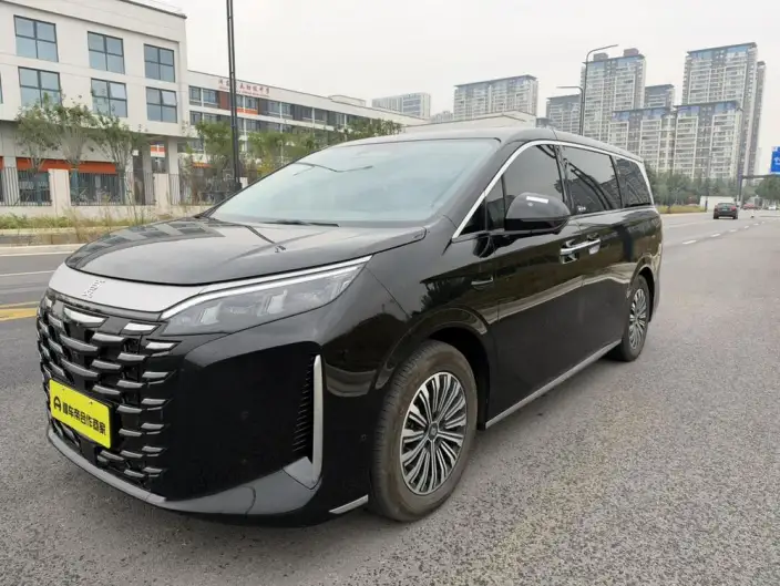 Xia 2025 Model DM-i 180KM Excellence Model – фото 1