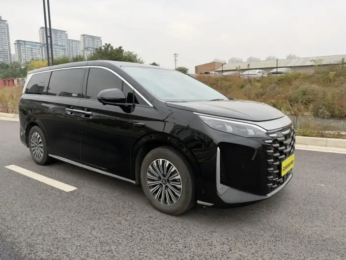 Xia 2025 Model DM-i 180KM Excellence Model – фото 3