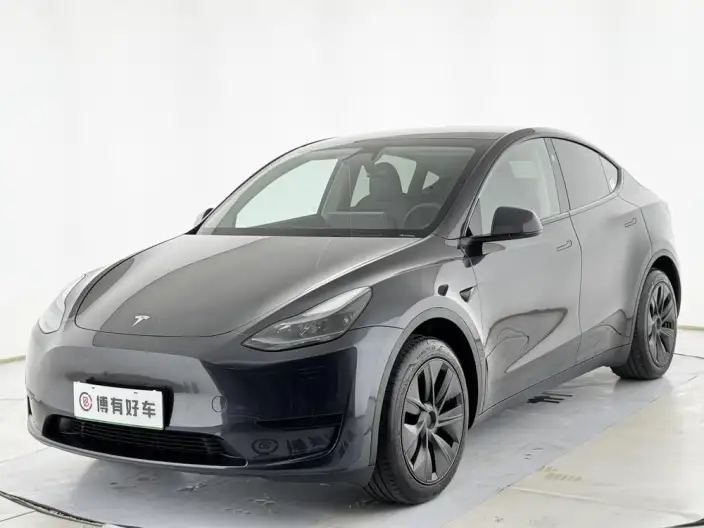 Model Y 2024 Model Rear-wheel drive version – фото 1