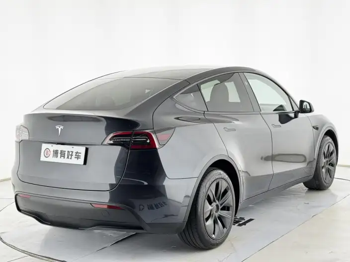 Model Y 2024 Model Rear-wheel drive version – фото 7