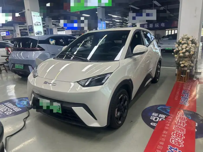 BYD Seagull 2024 Model Honor Edition 405KM Feixiang Edition – фото 1