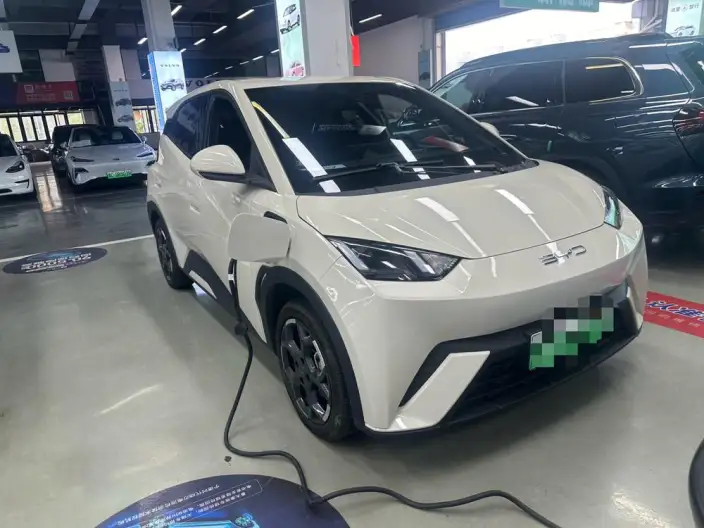 BYD Seagull 2024 Model Honor Edition 405KM Feixiang Edition – фото 2