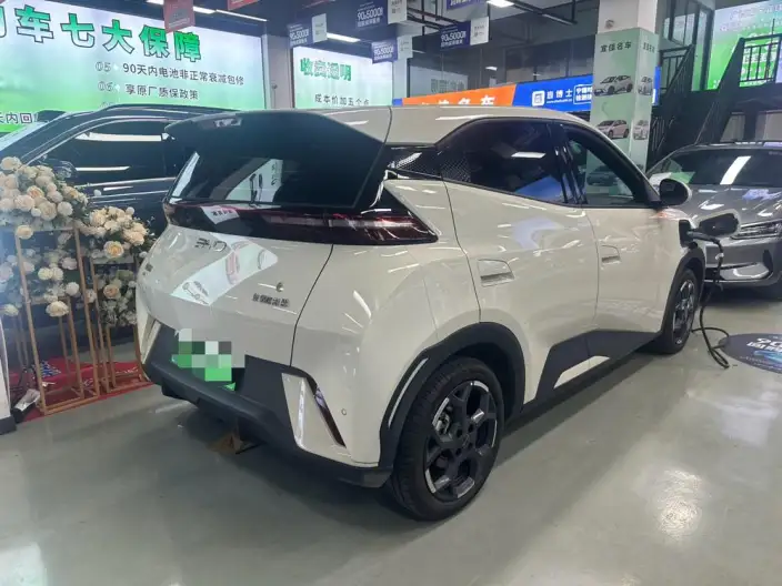 BYD Seagull 2024 Model Honor Edition 405KM Feixiang Edition – фото 4