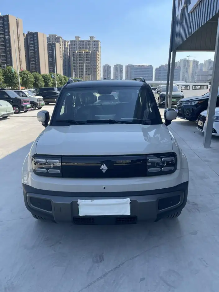 Yueye Plus 2026 Model 301km Ultimate Edition – фото 2