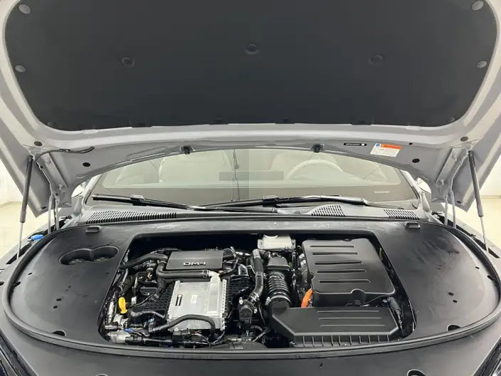 BYD Han DM 2025 Model Smart Driving Edition DM-i 125KM Elite Model – фото 7