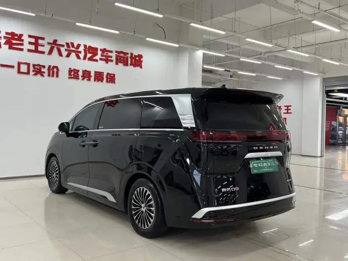 DENZA D9 DM 2024 Model 980 4WD Noble Model