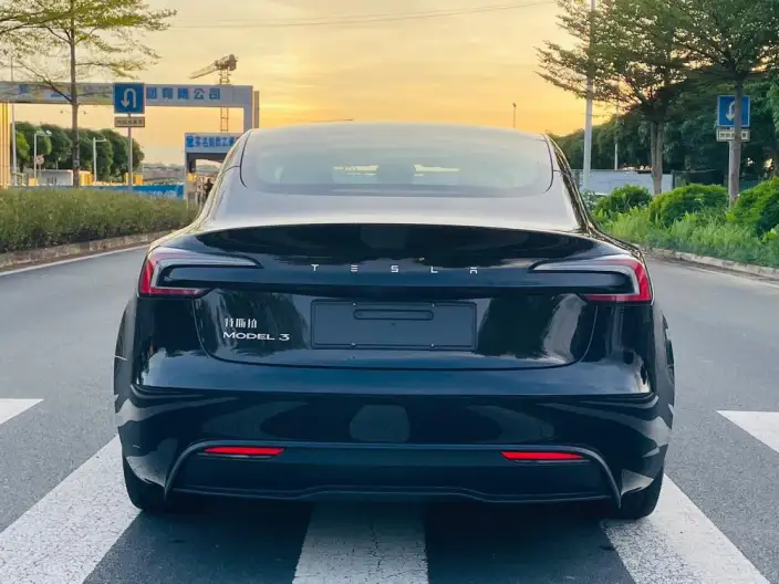 Model 3 2023 Model Rear-wheel drive version – фото 6