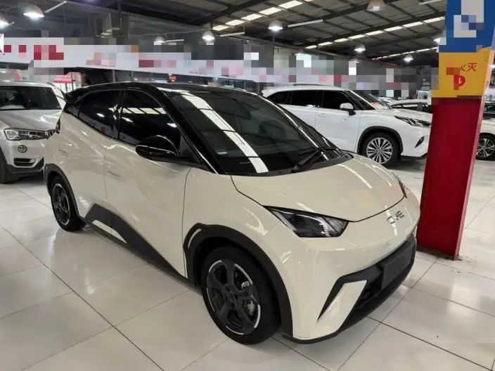 BYD Seagull 2024 Model Honor Edition 305KM Vitality Edition