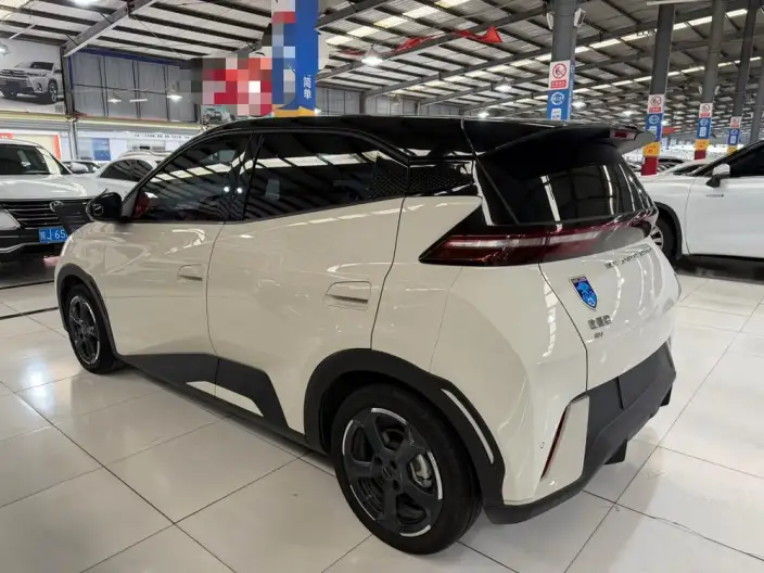 BYD Seagull 2024 Model Honor Edition 305KM Vitality Edition