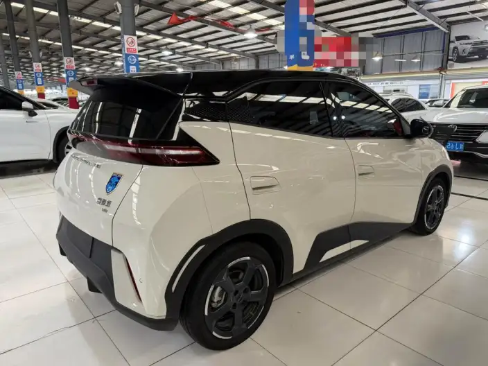 BYD Seagull 2024 Model Honor Edition 305KM Vitality Edition – фото 6