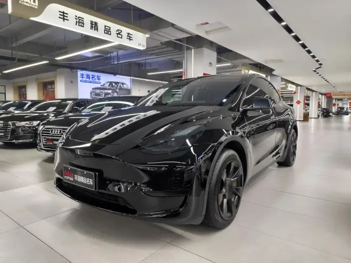 Model Y 2023 Model Rear-wheel drive version – фото 1