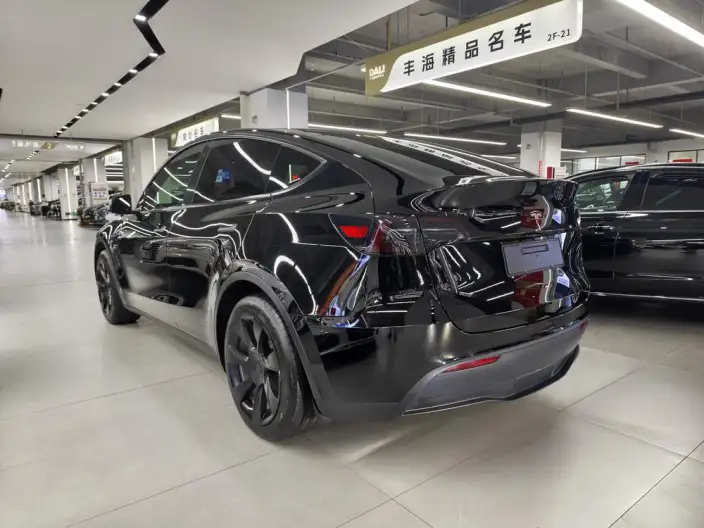 Model Y 2023 Model Rear-wheel drive version – фото 4