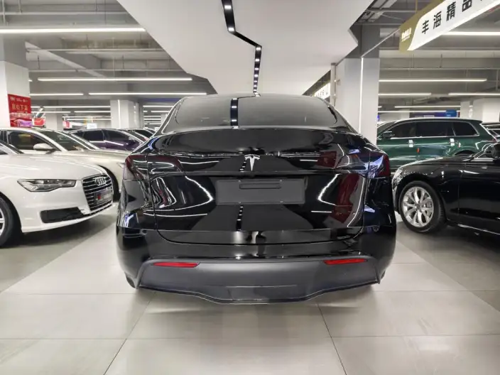 Model Y 2023 Model Rear-wheel drive version – фото 5