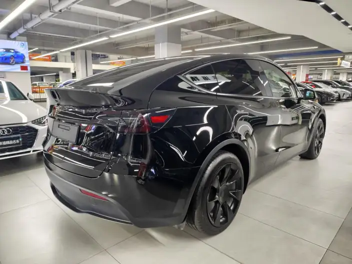 Model Y 2023 Model Rear-wheel drive version – фото 6