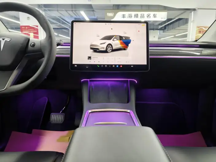 Model Y 2023 Model Rear-wheel drive version – фото 7
