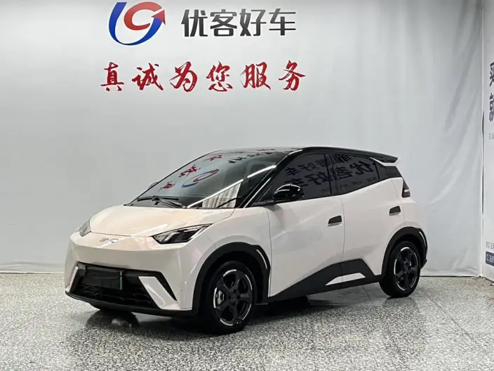 BYD Seagull 2024 Model Honor Edition 305KM Vitality Edition