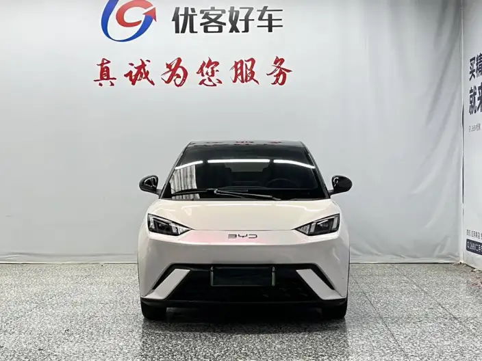 BYD Seagull 2024 Model Honor Edition 305KM Vitality Edition