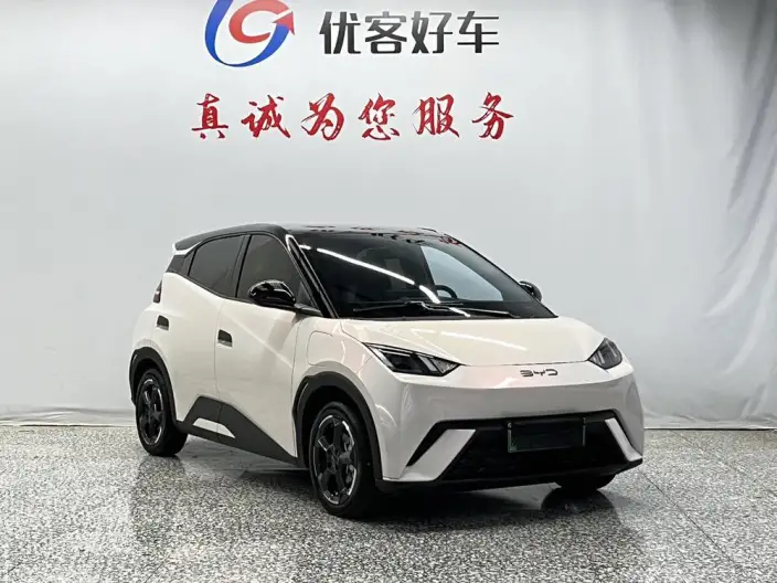 BYD Seagull 2024 Model Honor Edition 305KM Vitality Edition