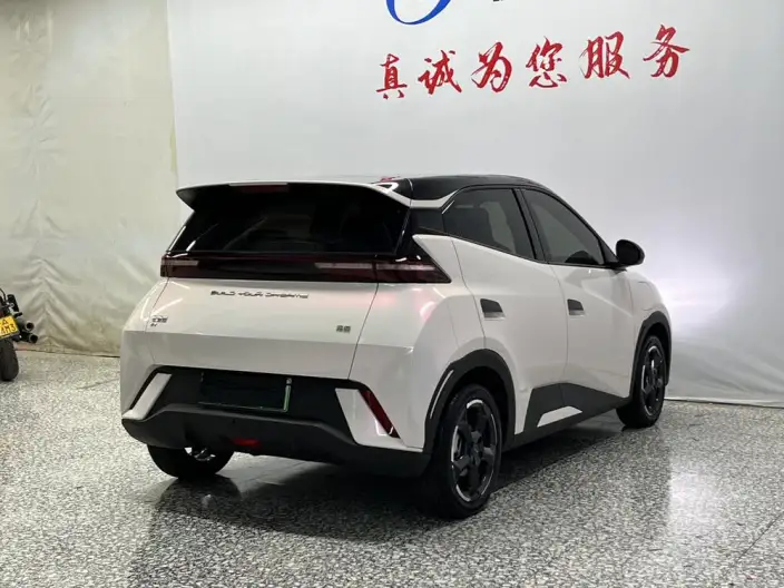 BYD Seagull 2024 Model Honor Edition 305KM Vitality Edition – фото 6