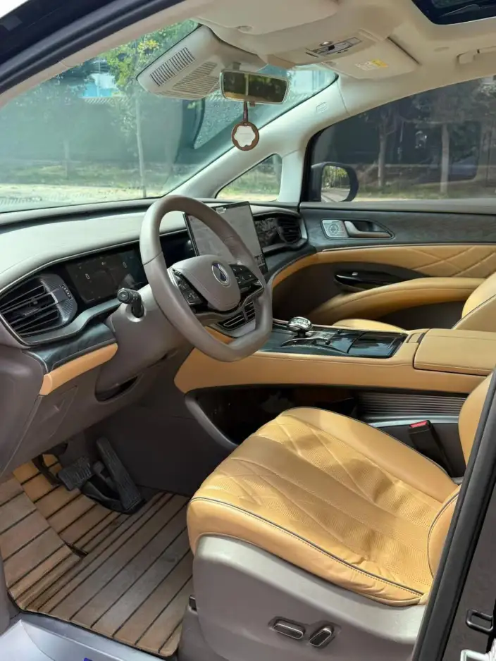 DENZA D9 DM 2024 Model 970 Luxury Model – фото 7