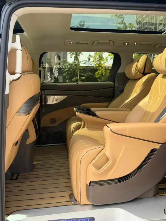 DENZA D9 DM 2024 Model 970 Luxury Model – фото 9